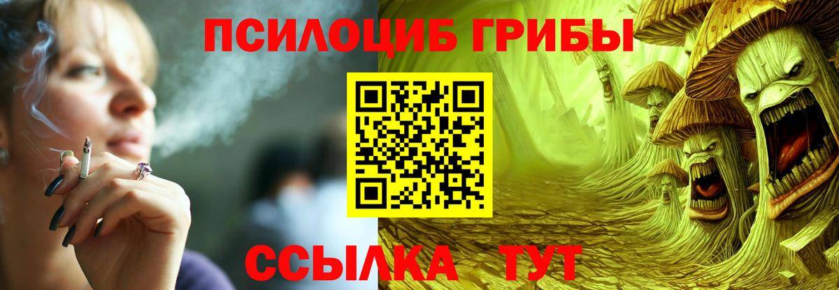 Псилоцибиновые грибы Cubensis Шали