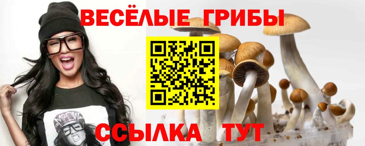 Шали  Псилоцибиновые грибы ЛСД  Вход с VPN 